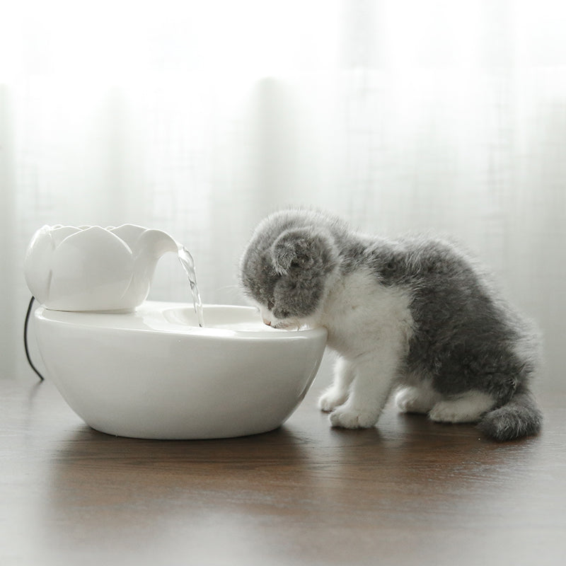 Cat Drinking Machine, Ceramic Automatic Circulating Drinking Device/ Bowl