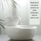 Ceramic Cat Water Fountain | Automatic Circulating, Quiet Pet Drinking Bowl