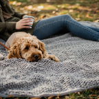 Chenille Dog Blanket for Couch | Absorbent, Washable Pet Furniture Protector