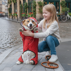 Four-Leg Waterproof Dog Raincoat | Full Cover, Reflective, Clear Visor