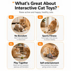 Interactive Hide & Seek Cat Toy | Concealed Feather, Mouse Sounds, USB-C