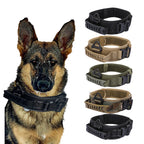 Tactical Dog Collar & Bungee Leash | Heavy-Duty with Control Handle